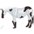 :iconkmsc: