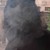:iconkmy35: