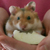 :iconknhappyface: