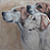 :iconknight-hounds: