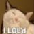:iconknight-of-elemia:
