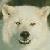 :iconknight-wolf: