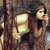 :iconknightlynderic: