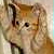 knightmare4u :iconknightmare4u: