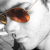:iconknithil: