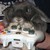 :iconknitprincess: