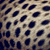 :iconknotty-d: