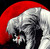:iconknowcherwan: