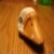 :iconknowephecs: