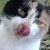 :iconknowitall123: