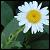 :iconknown-secret: