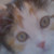 :iconknox7606: