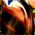 :iconknsey: