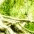 :iconknuckelduster: