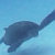 :iconknumonmaster:
