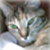 KnuttyDragon :iconknuttydragon:
