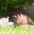 :iconKO-Okami: