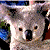 :iconkoalabear95: