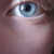 :iconkoalabear97: