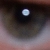:iconkoan123: