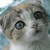:iconkoba0ijah: