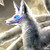 :iconkobaltkitsune: