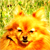 :iconkobayashinatsumi: