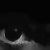 :iconKobra-wolf: