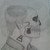 :iconkobrakid14: