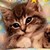 :iconkociak52:
