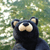 :iconkodiakprime:
