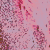 :iconkoffinkat13: