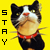 :iconkogaionon: