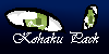 :iconkohaku-pack:
