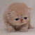 :iconkohaku202: