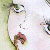 :iconkoharutie: