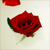 :iconkohool: