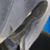 :iconkoidragon88: