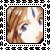 :iconkoiyama-shikon: