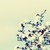:iconkokeree: