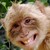 :iconkoko7710: