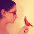:iconkokosk4: