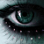 :iconkol-oil-shira: