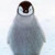 :iconkombat-penguin5: