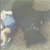 :iconkometryong: