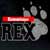 :iconkommissar-rex: