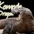 :iconKomodoDragonplz: