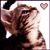 :iconkoneko818: