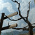:iconkonrad-bridge: