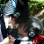 :iconkonyanoaitou: